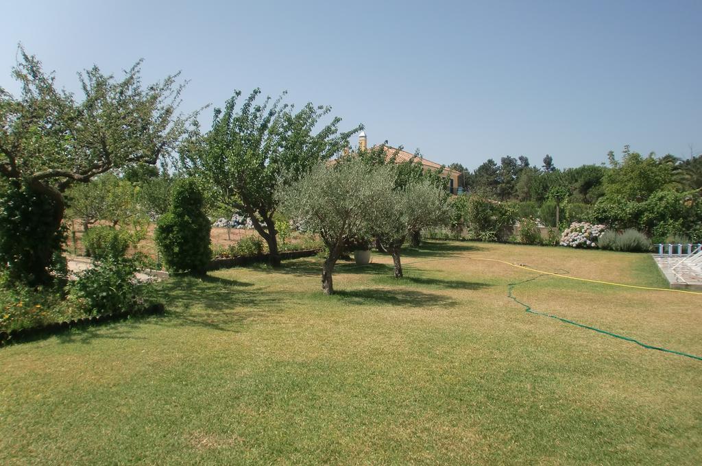 Quinta Da Harmonia Apartment Azeitao Luaran gambar