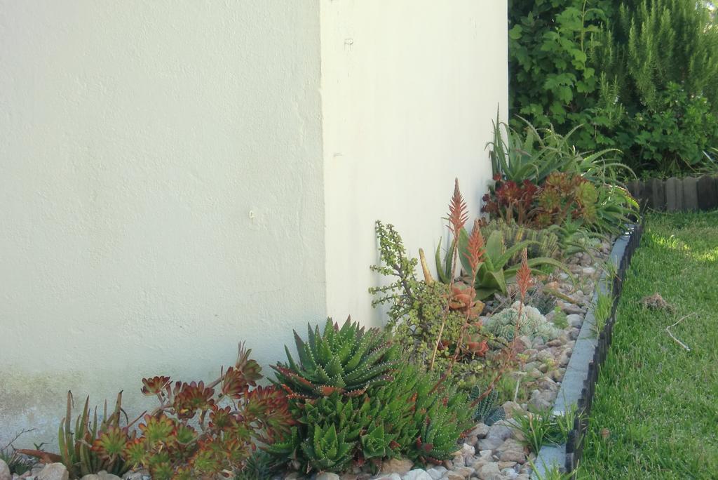 Quinta Da Harmonia Apartment Azeitao Luaran gambar