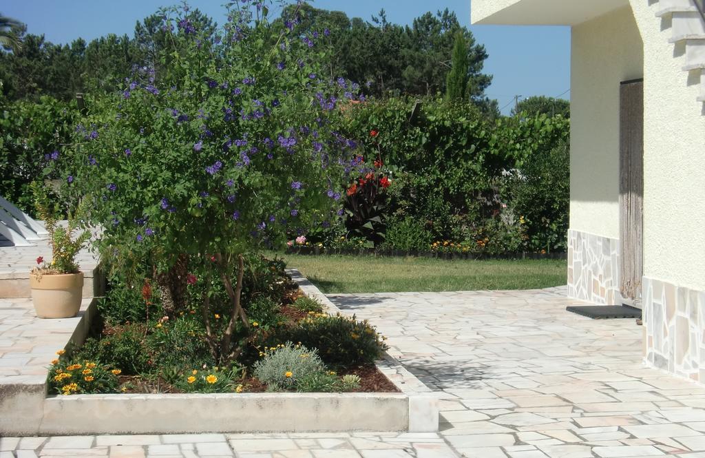 Quinta Da Harmonia Apartment Azeitao Luaran gambar